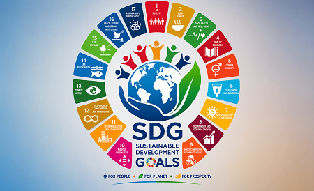 Sustainable Development Goals image